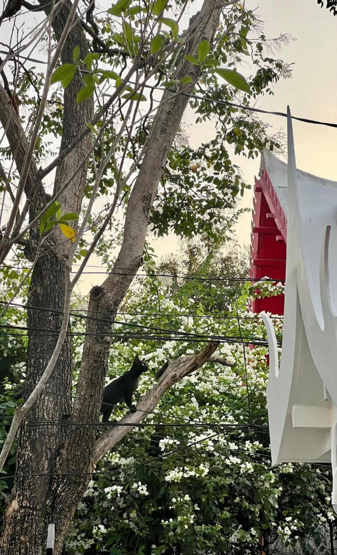 Khách sạn Baan Debtida