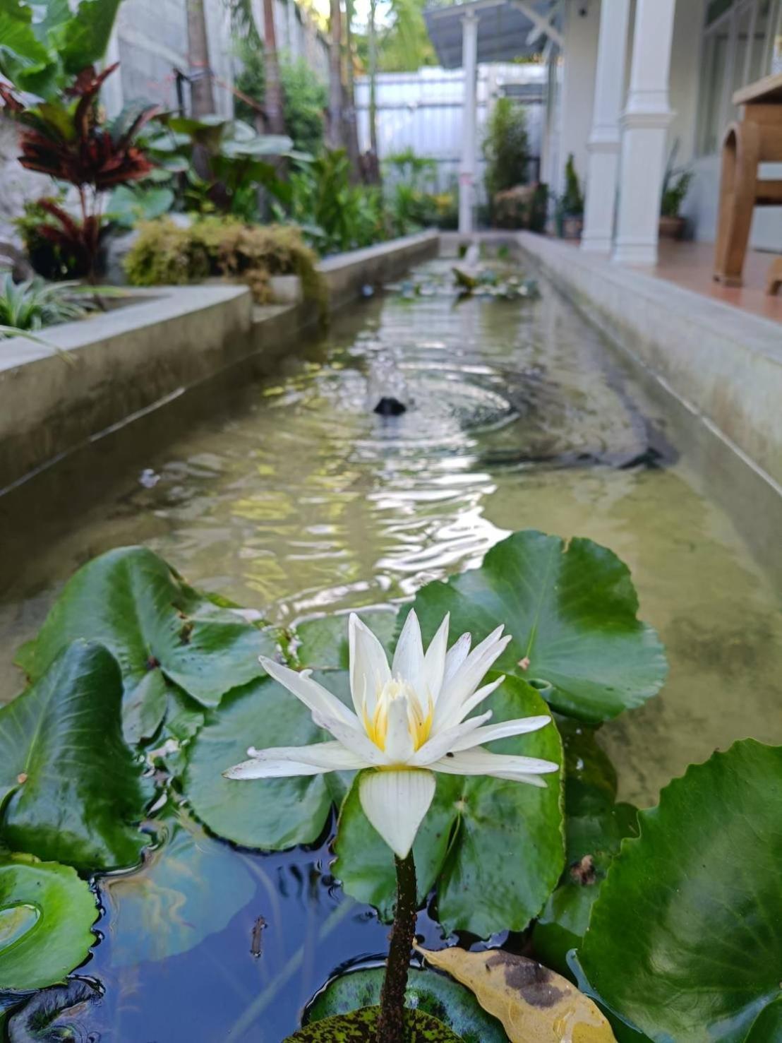 Khách sạn Baan Debtida Bangkok