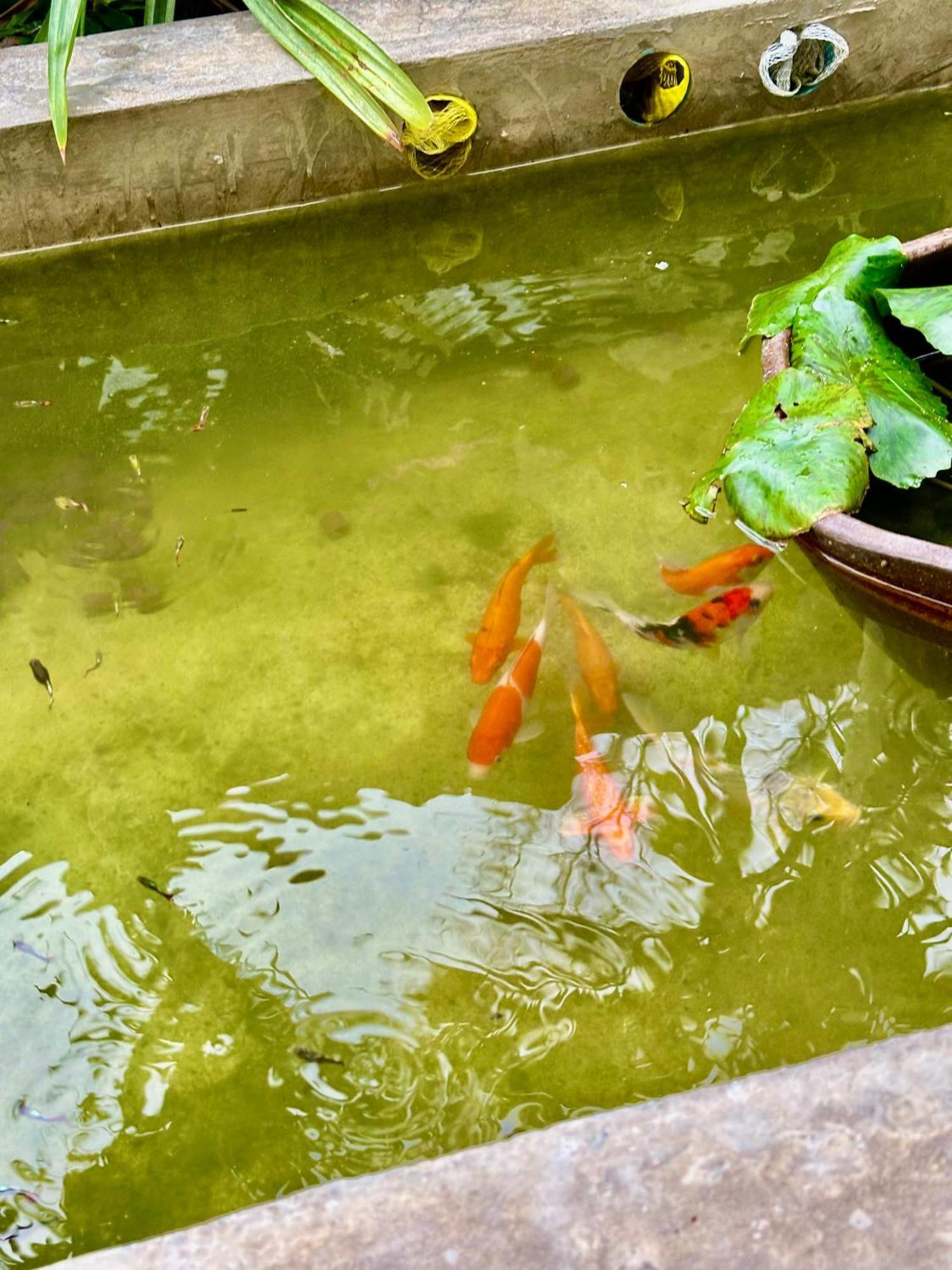 Baan Debtida * Banguecoque